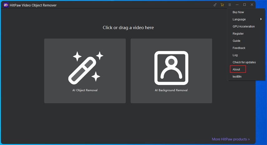 check information in HitPaw video object remover