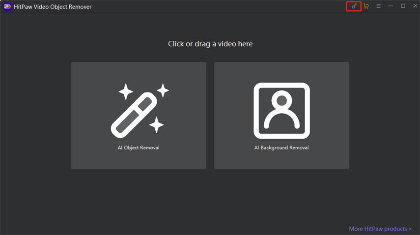 HitPaw video Object remover registration