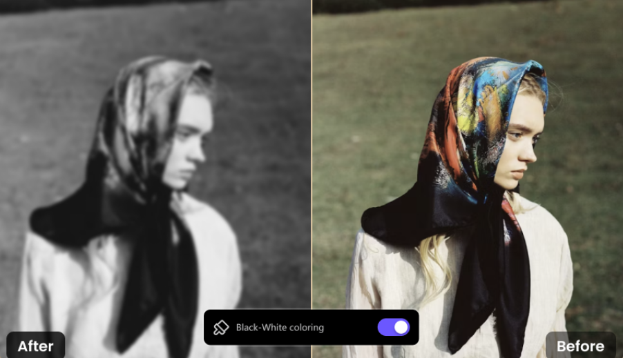 colorize black and white