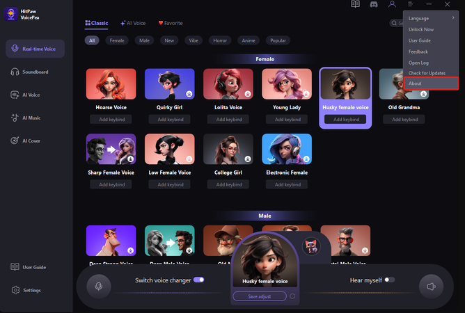 check information in HitPaw VoicePea